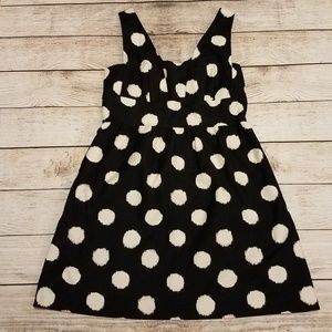 Loft Polka Dot Dress 8P B19